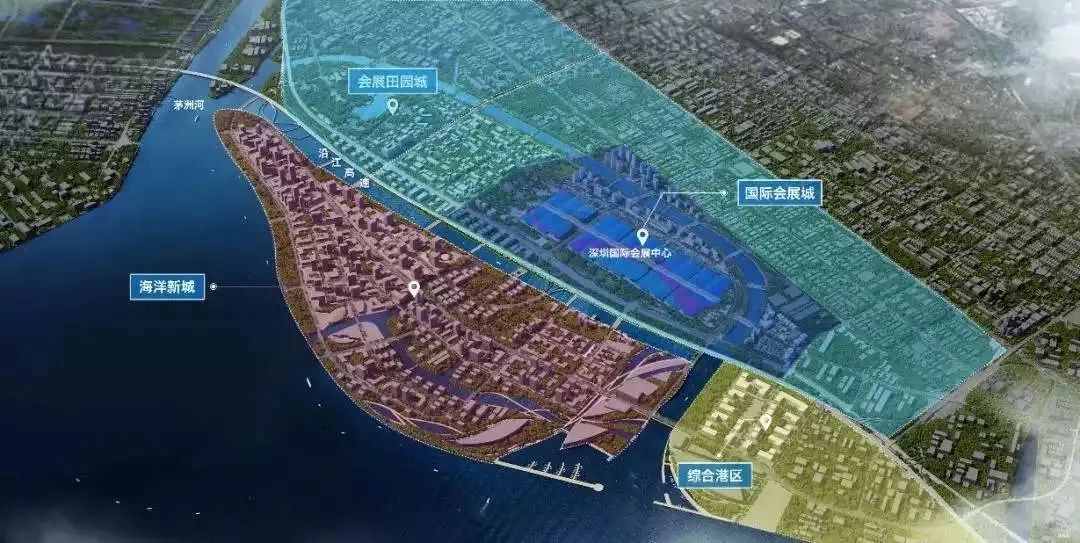 疯抢背后，是潜力无限还是被市场高估？沙井，想说爱你不容易