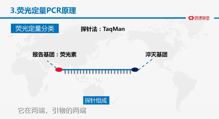 荧光定量pcr技术原理,荧光定量pcr如何确定阈值