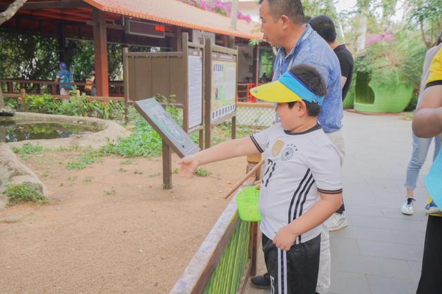 海南陵水猴岛有猴子吗,现在陵水猴岛猴子多不多