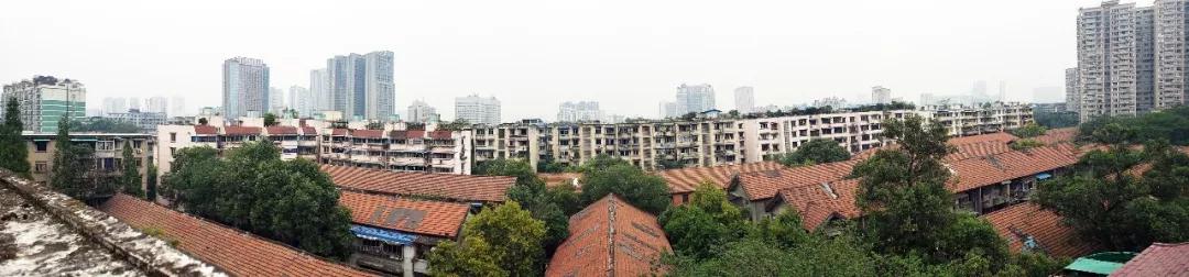 芝士饼饼皮做法,芝士很辣