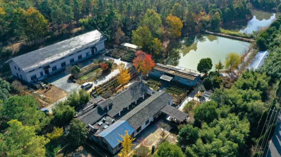 常州仙姑村农家乐,仙姑村农家菜