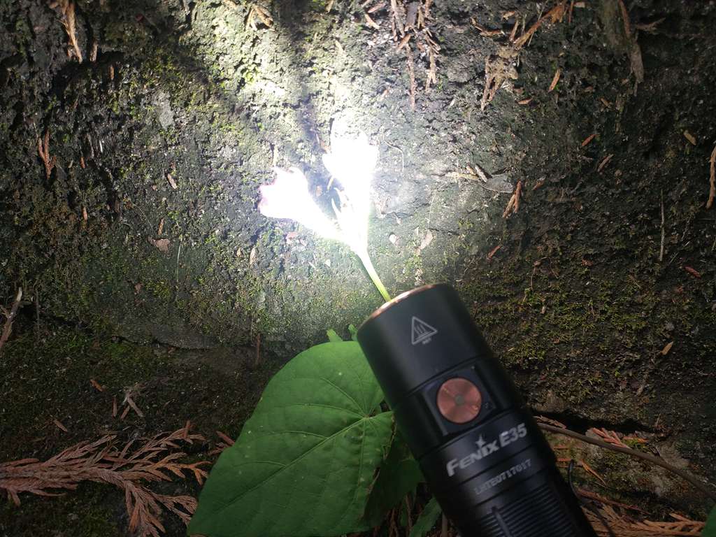 fenix手电e353.0,fenixe353.0手电