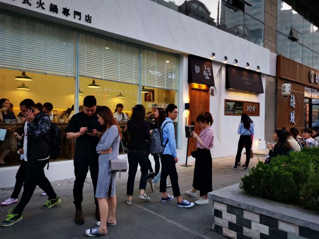 柴犬日料青岛,青岛柴犬日料