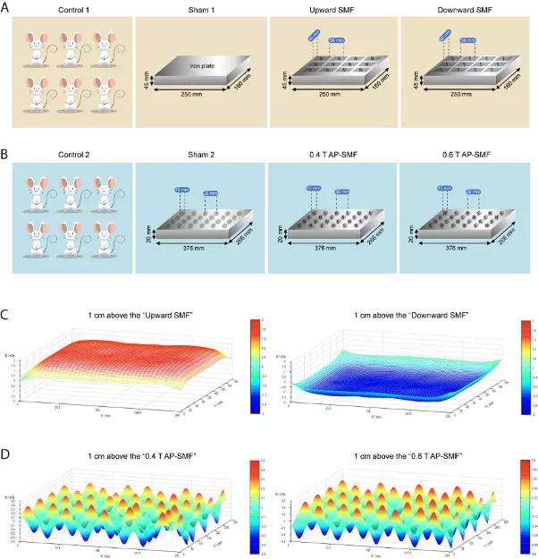 糖尿病患者可以依靠锻炼降糖吗,糖尿病引体向上降血糖