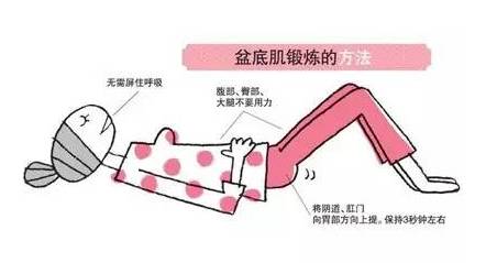 产后凯格尔盆底肌训练视频,产后漏尿盆底肌恢复训练