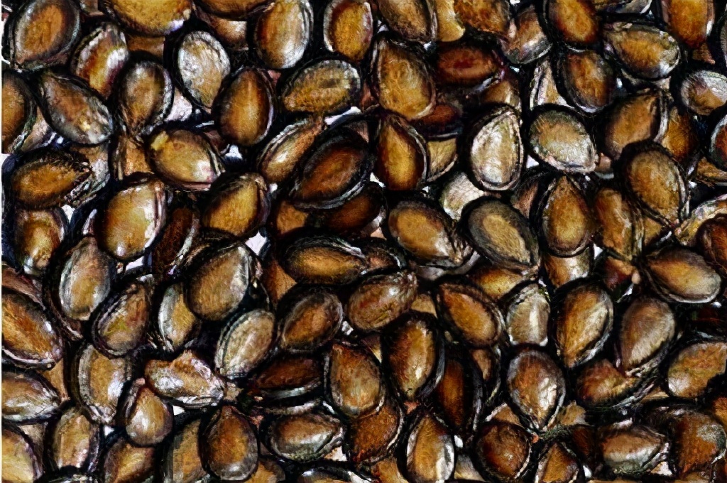 来疆有什么好吃的,来疆必吃的美食