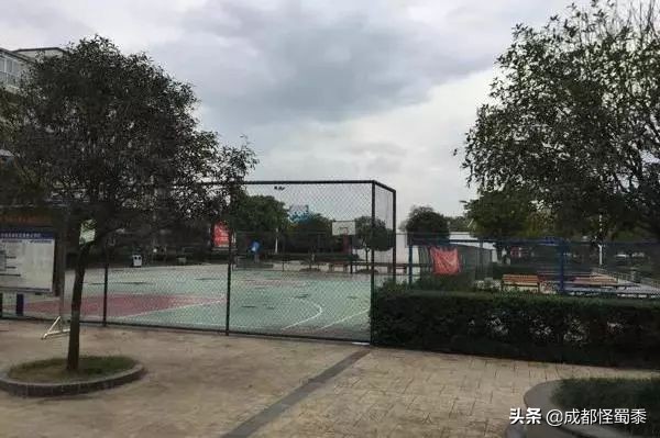 成都室内大型运动场地,周末可以打羽毛球的场子