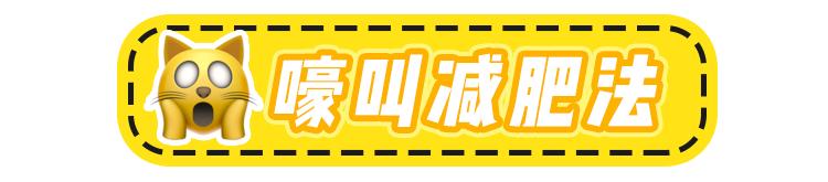 鏃ユ湰鑳栧閫嗚,鏃ユ湰鑳栧