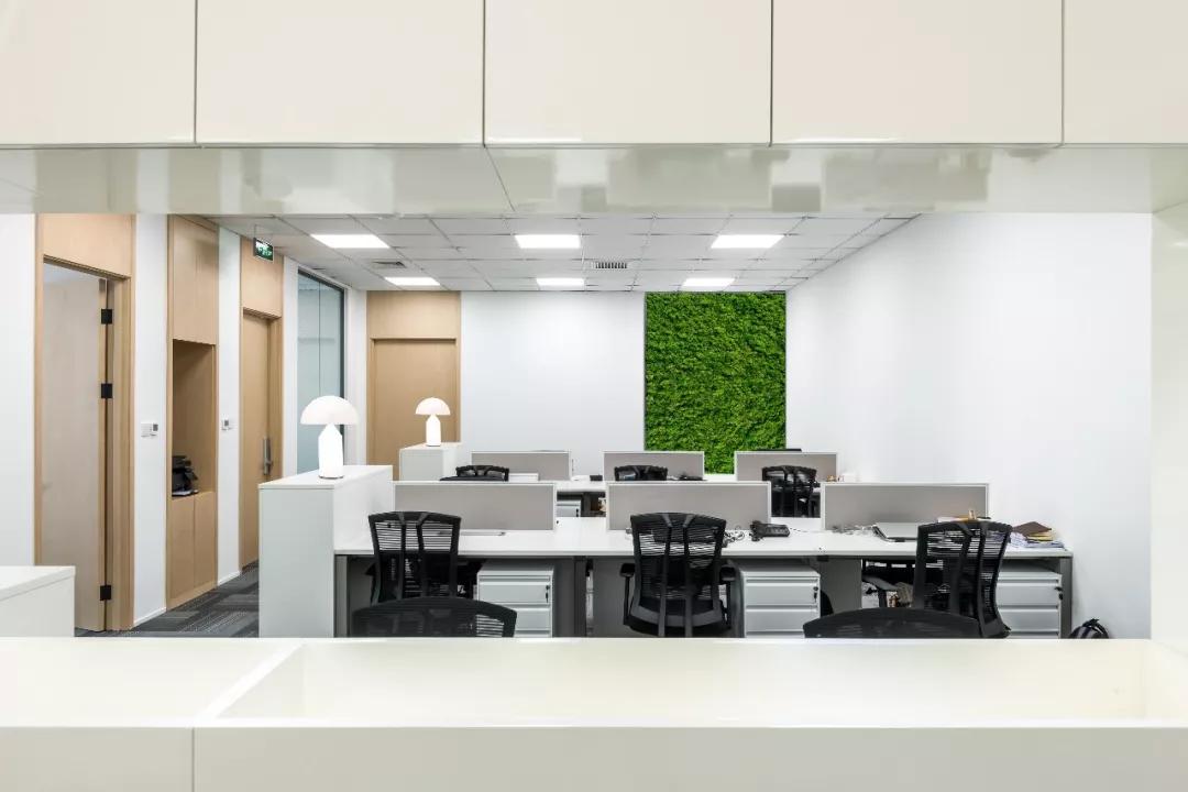 受欢迎的案例,最新的项目案例