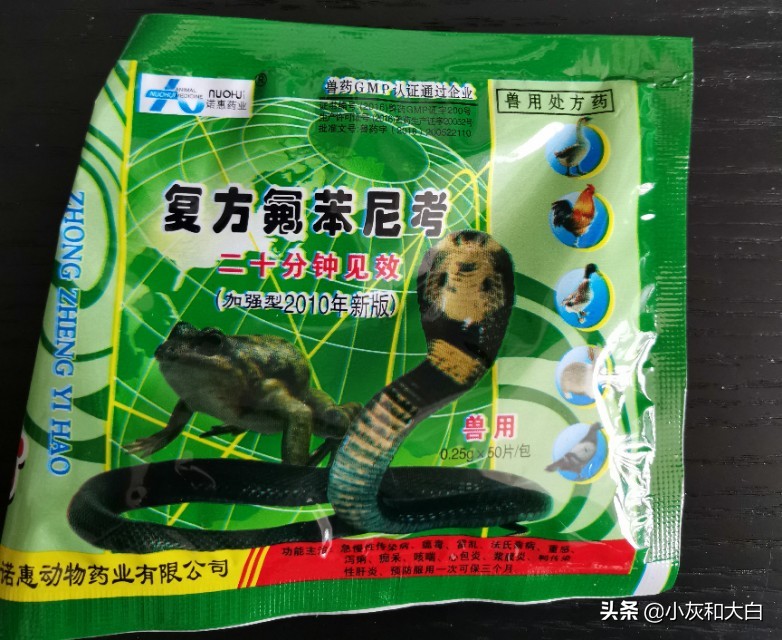 小鸟病得很严重怎么办,小鸟生病了该怎么照顾