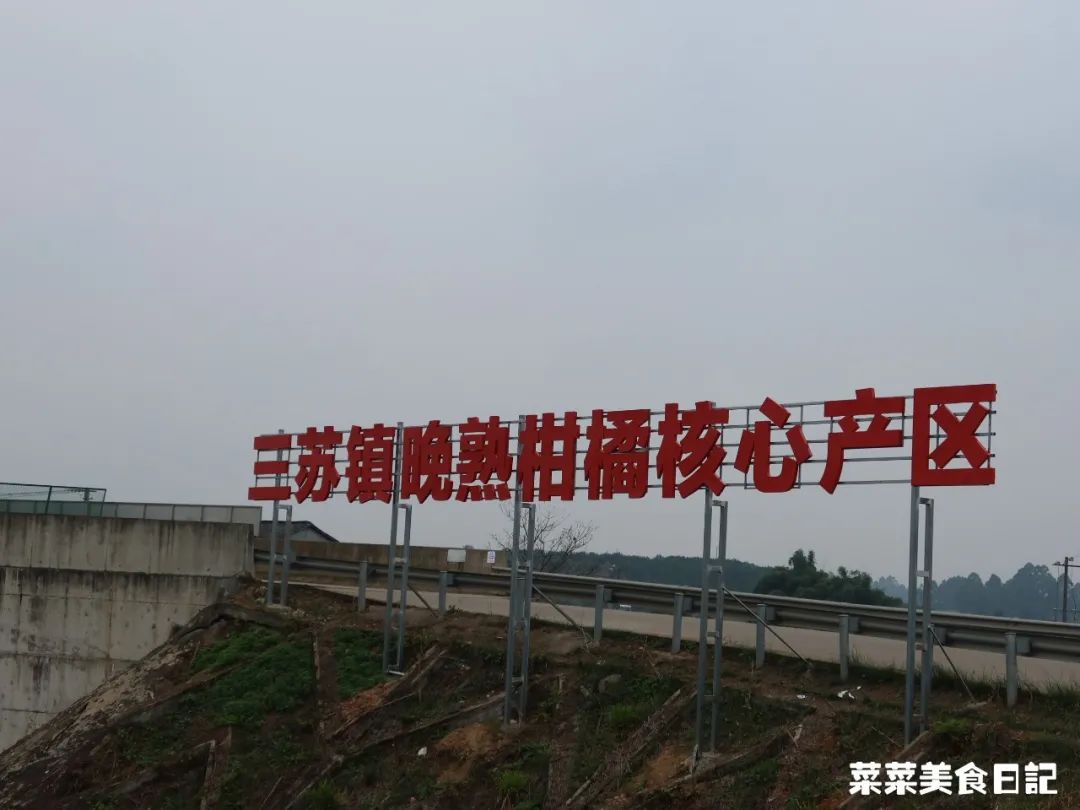 树上的草莓果冻,泰国水果树上结的果冻