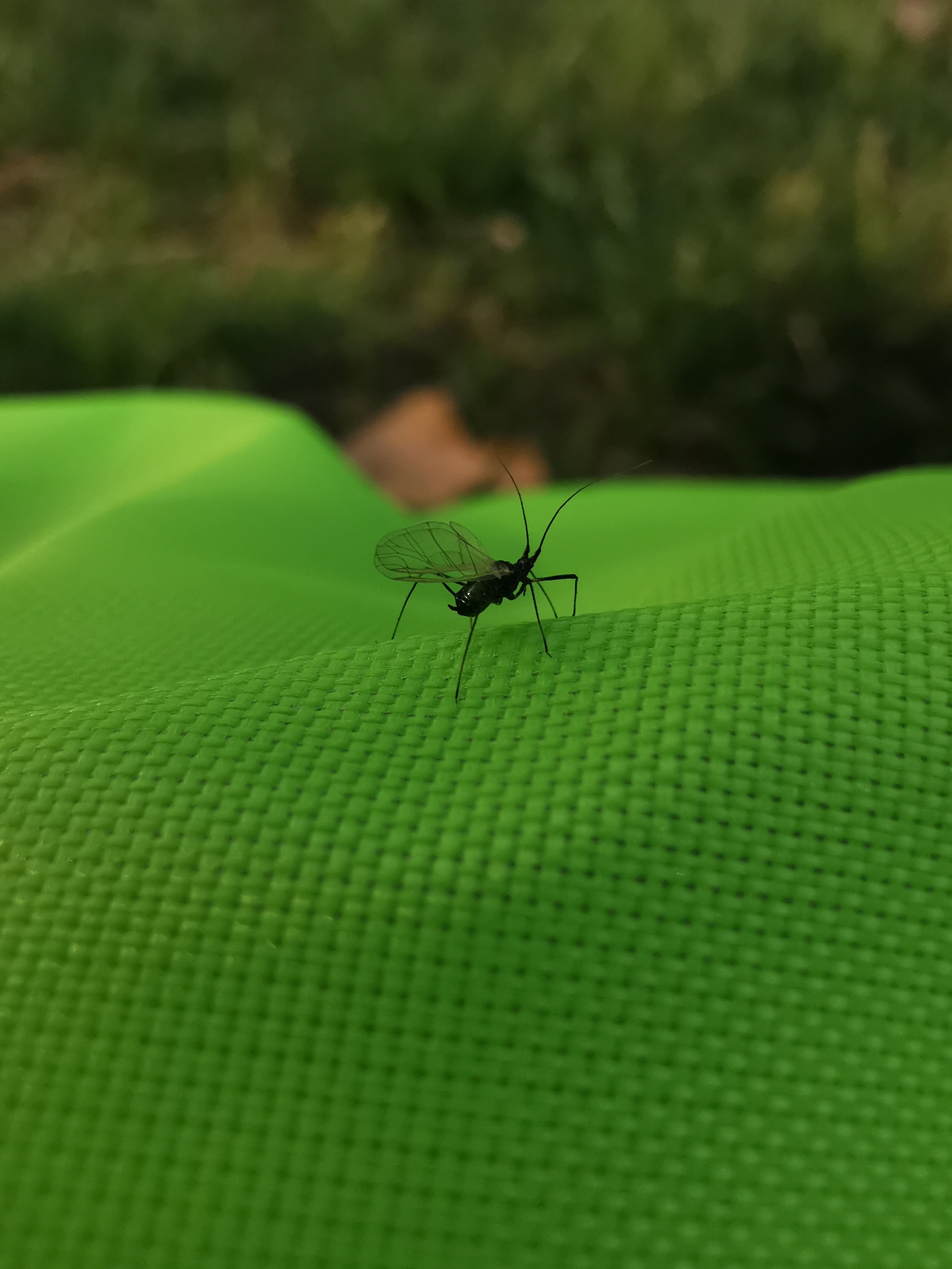 大唐浅水湾足浴店,大唐沐足公园店