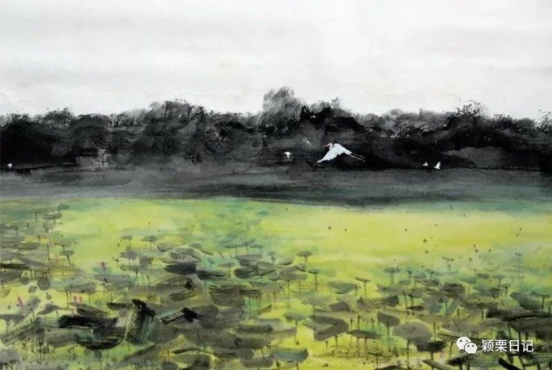 关于白鹭的资料,关于白鹭的资料五年级