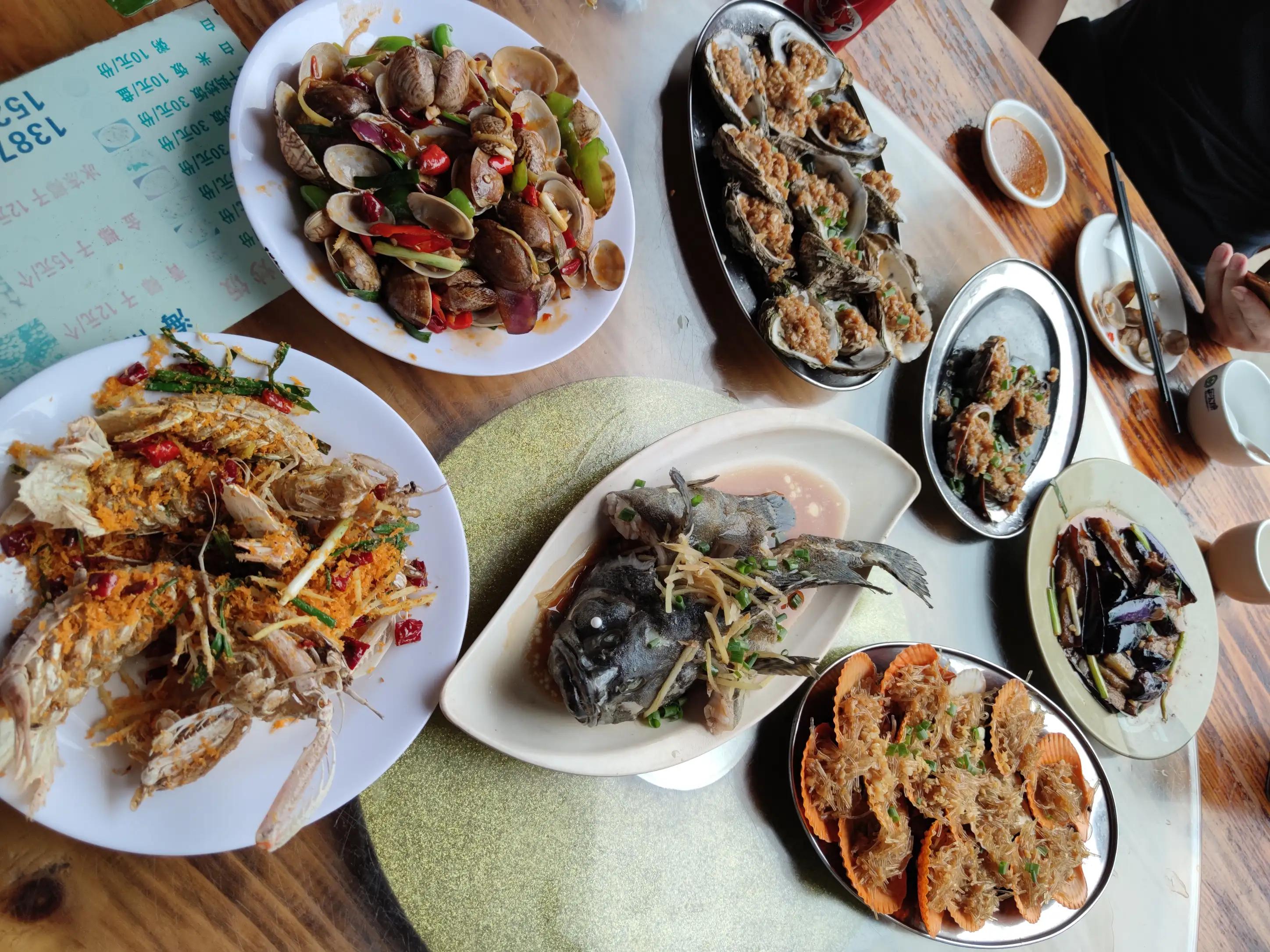 程序员日记视频全集,程序员日记简短