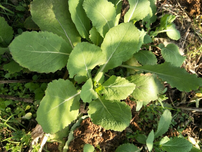 无话不谈的友谊会因为微商买卖而慢慢的发生变化？