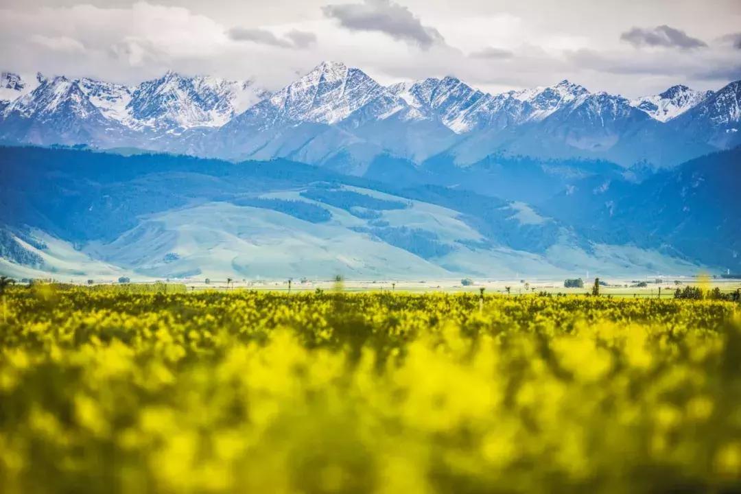 跟着cc一起去旅行吧,跟着摄影团去旅游