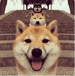 泰国曼谷购物如何退税,泰国曼谷购物退税