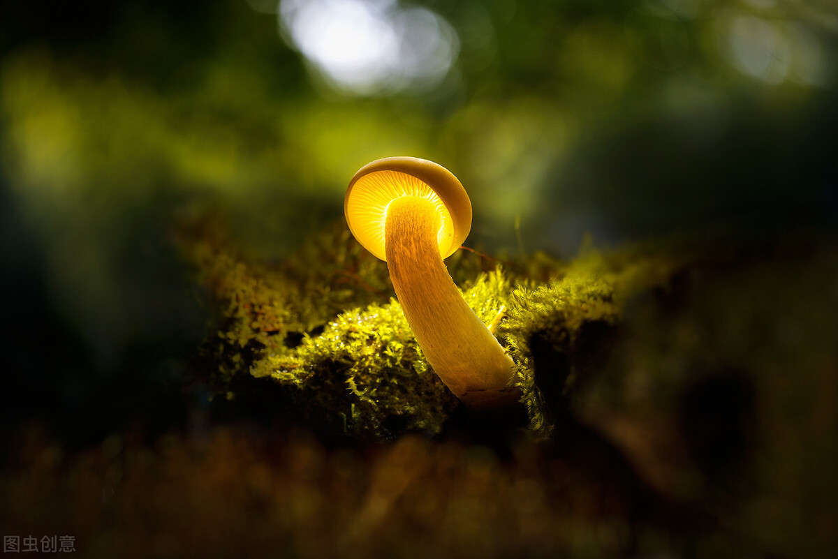 为什么人老了泪点低,老了泪点