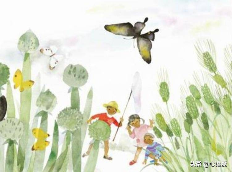 育儿书目窗边的小豆豆,窗边的小豆豆印象深刻的故事