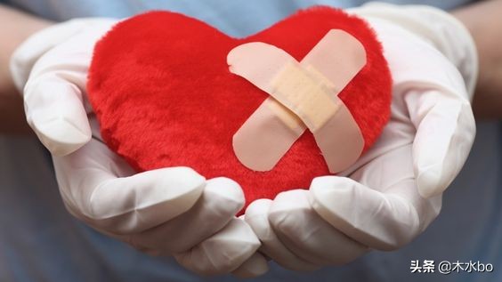 失恋狗是什么意思,失恋狗狗照片