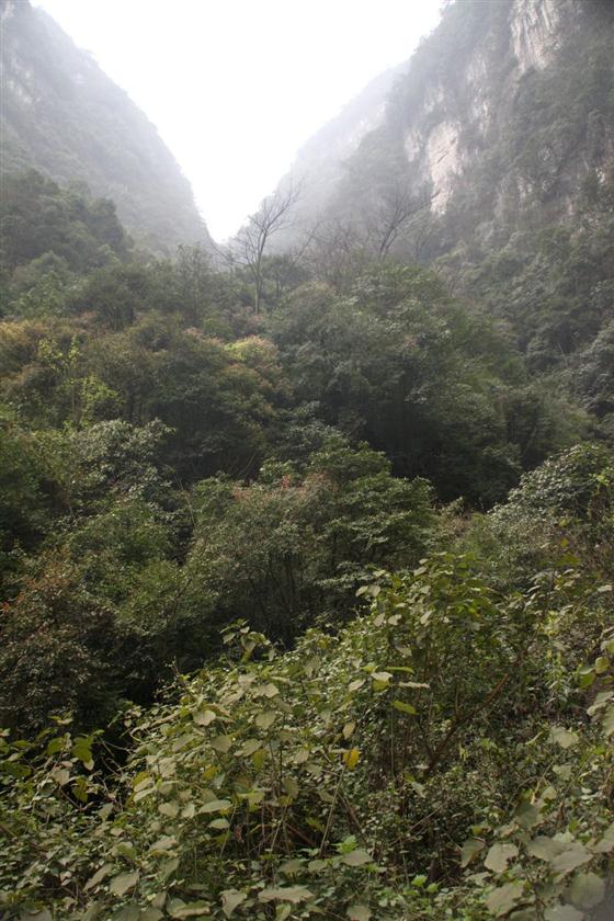 神龙峡：幽谷深深隐桃源