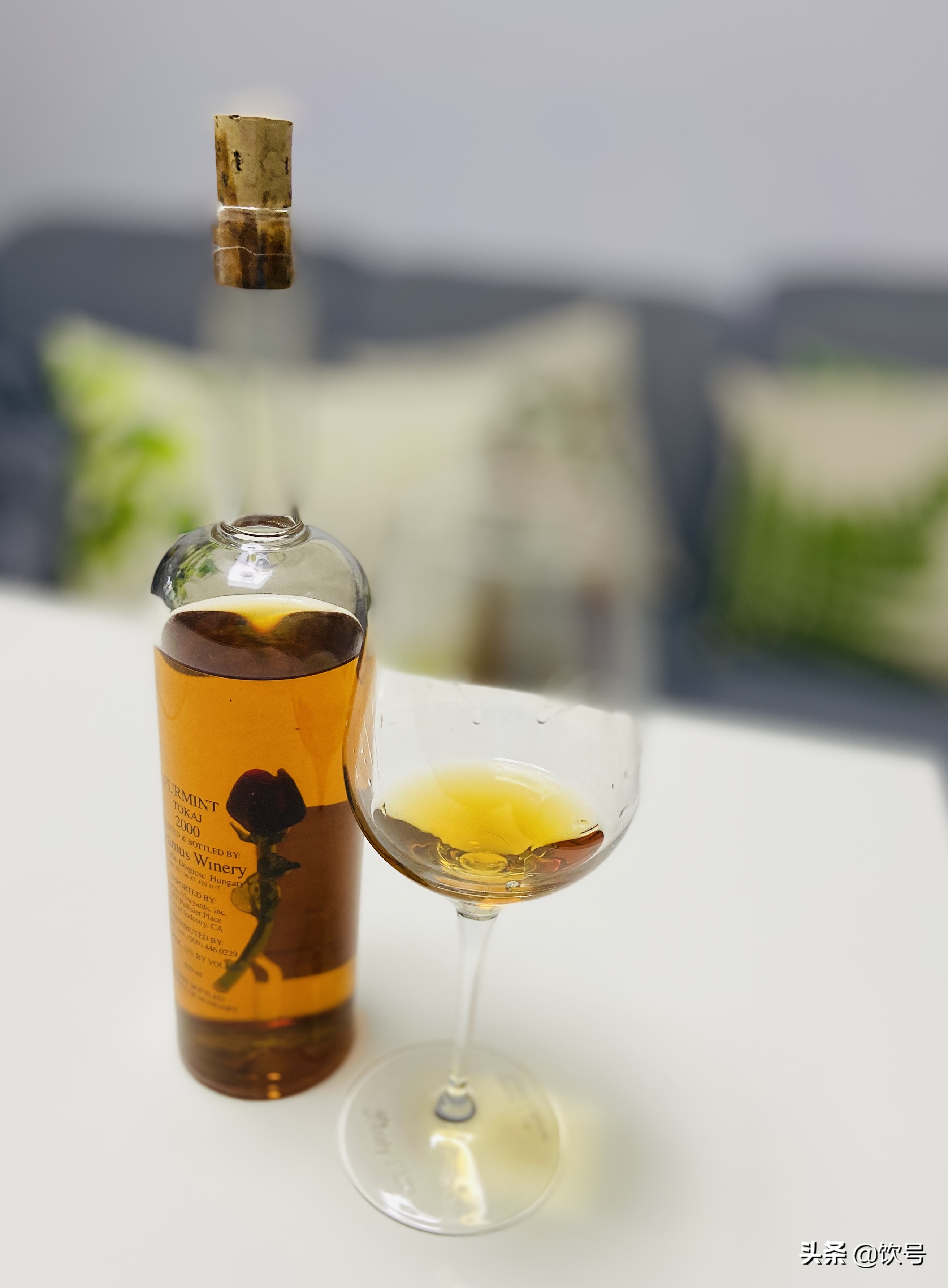 半糖主义舞蹈完整版,半糖主义舞蹈分解教程