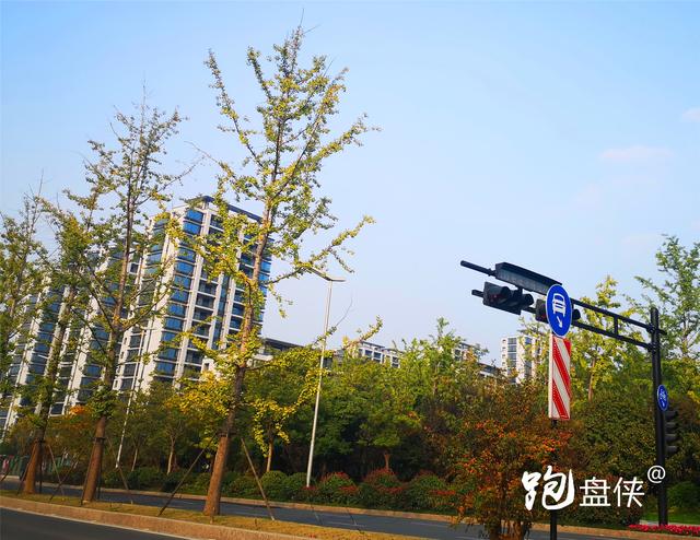 杭州奥体楼盘景瑞天赋,杭州高架楼盘