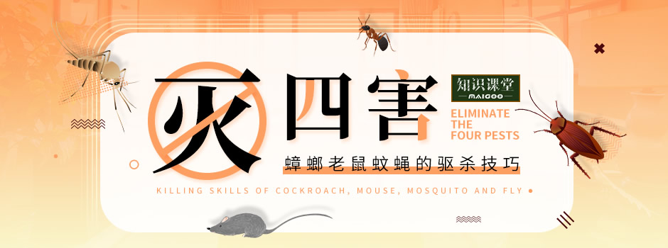除四害为什么不打蟑螂,除四害蟑螂消杀方案