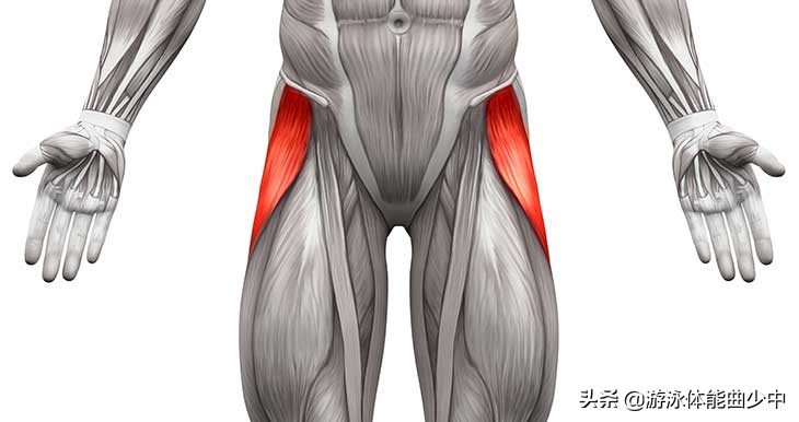 蛙泳的手脚技术动作和练习方法,蛙泳的腿部动作要领图解陆地