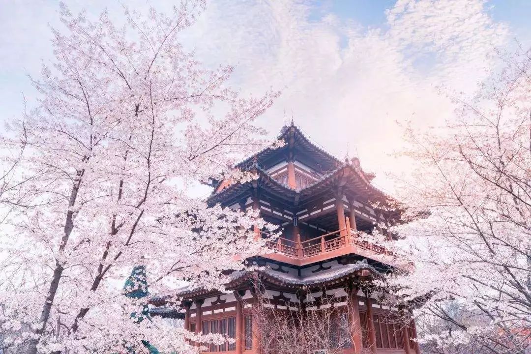 唐长安绕城高速边，并没有你想象的服务区|唐长安城坊考据Vol.5