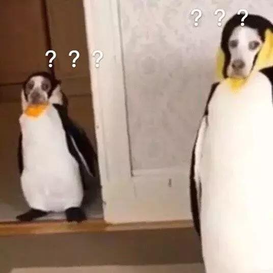 宁波女子花4656元，在世纪东方这家店换了2次iPhone屏，结果不到3月又坏了！