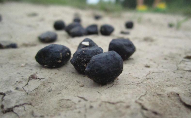 7种不同的便秘解决方法也不一样,便秘怎么判断是实证还是虚证