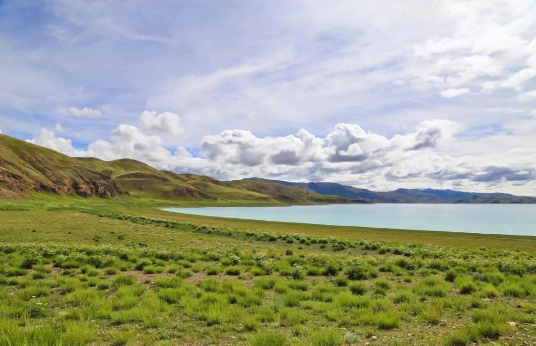 养心养肺之旅,静心养肺养心