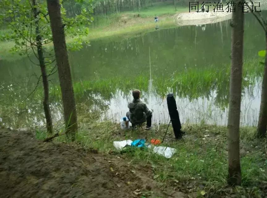 钓鱼记录2019,最新的钓鱼日记