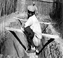 怎么治瘟疫,如何控制上厕所