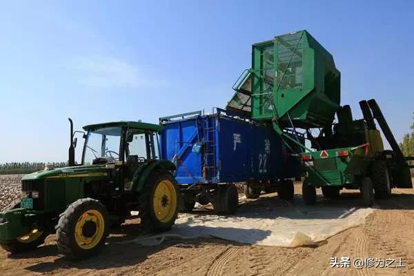 在新疆种棉花,在新疆种植棉花视频