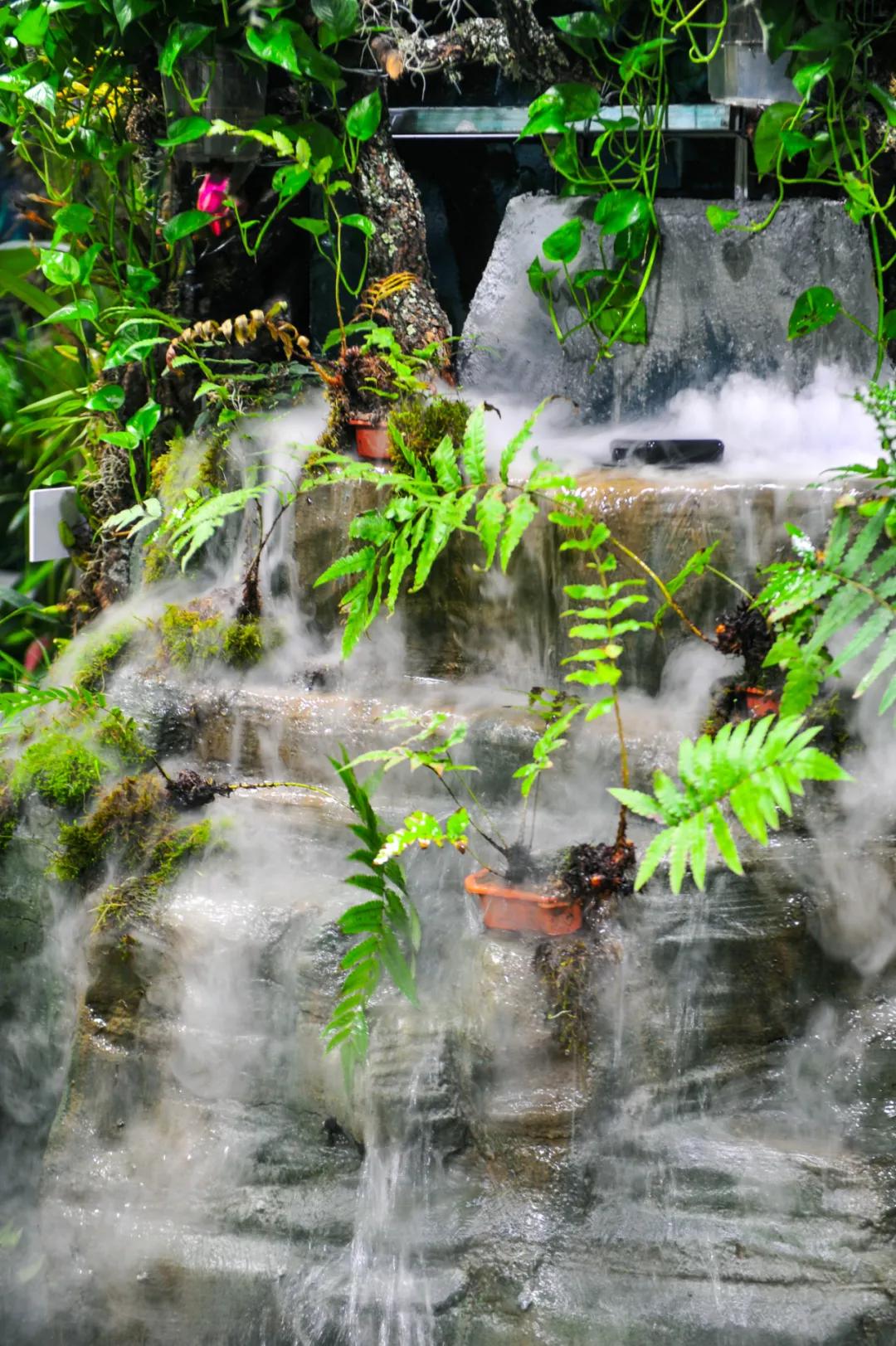 免费！森林物语•虫现江湖，“热带雨林”空降济南！