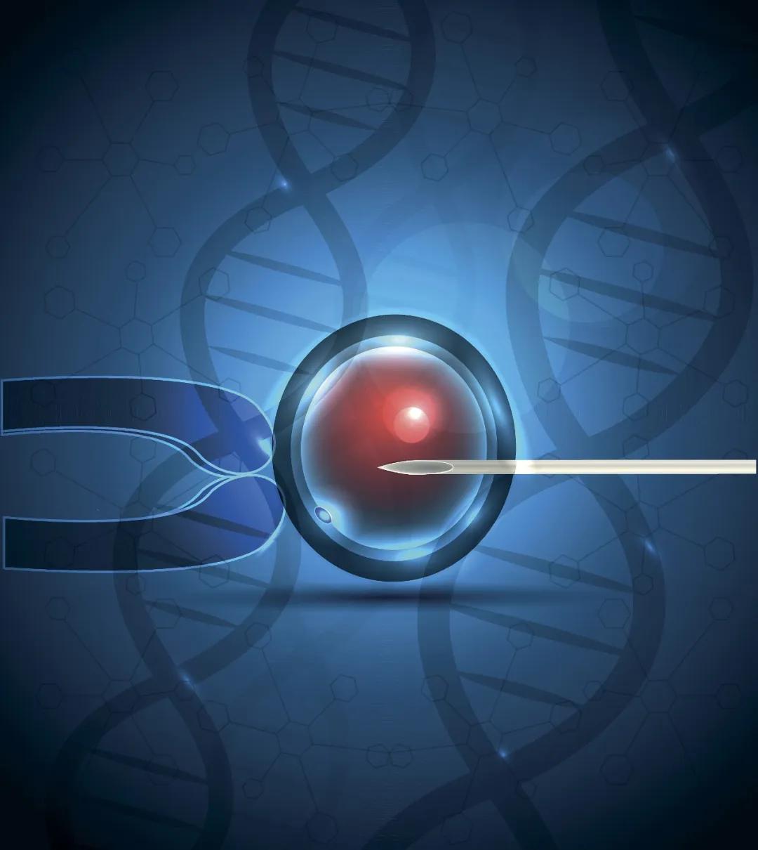 怎么把土豆塞到体内,怎么把土豆塞到身体里