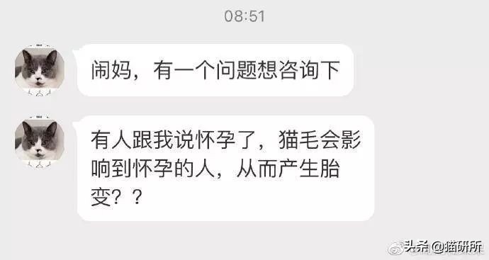 猫咪弓形虫对猫的危害,猫奴弓形虫