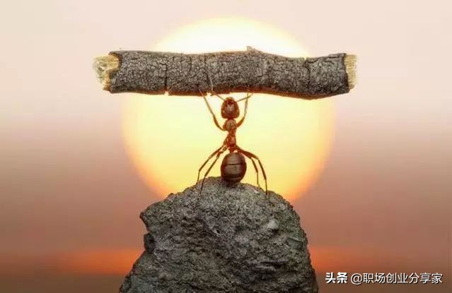 生意是谈出来的,生意谈成了要分红该怎么说