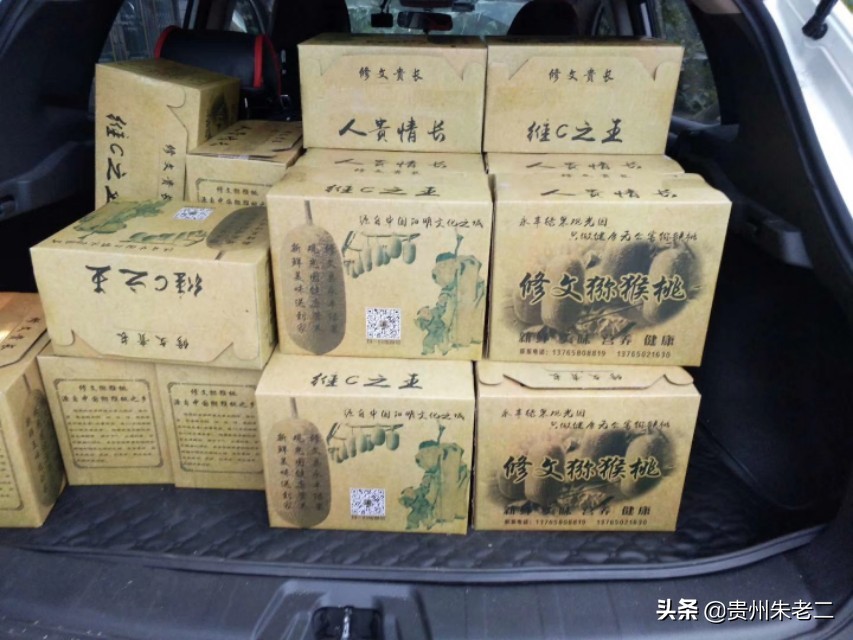 猕猴桃分级果价格,猕猴桃规格表