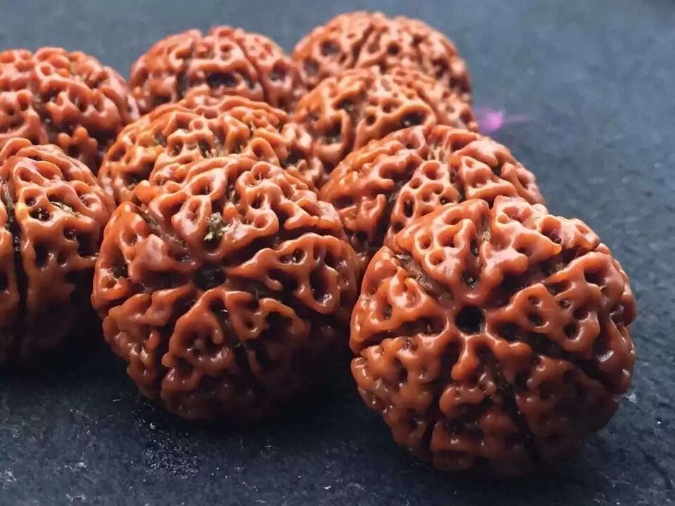 金刚菩提新手如何避坑,买金刚菩提如何避坑