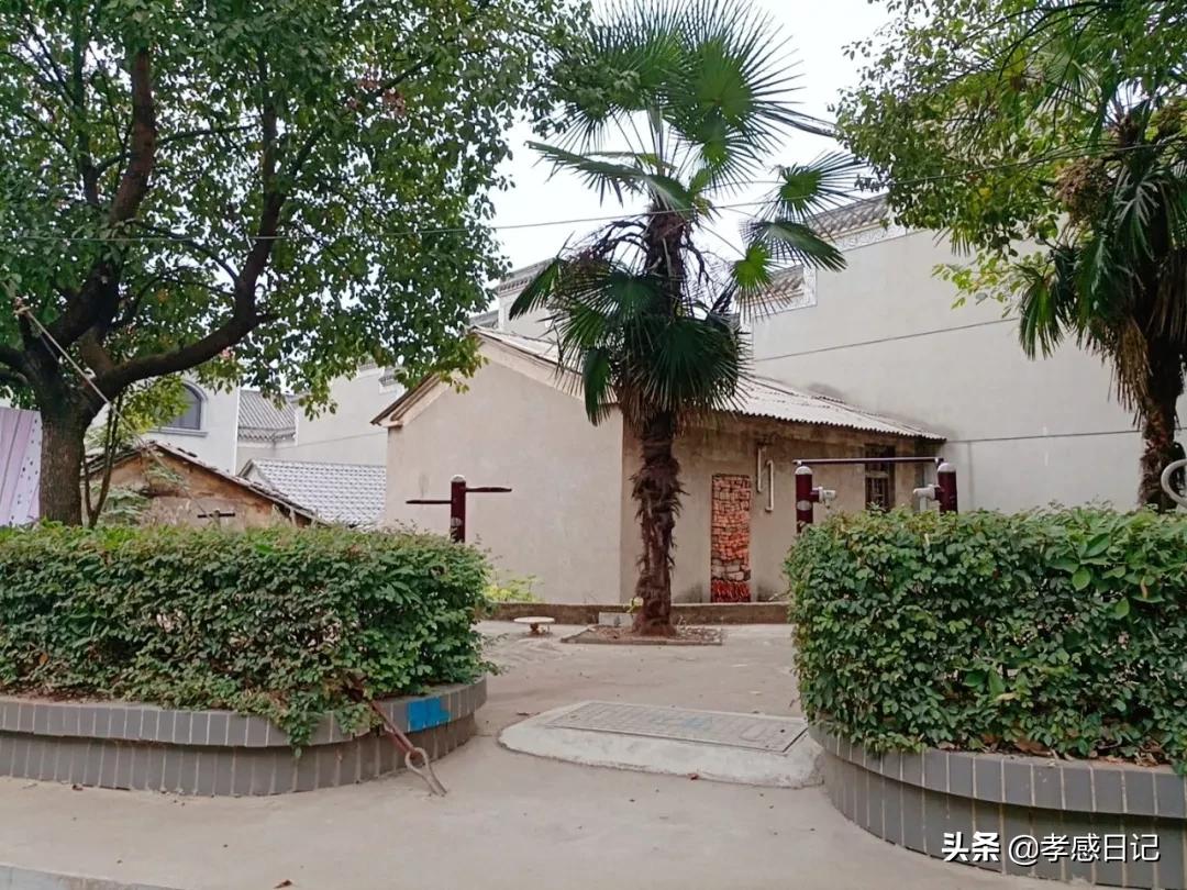 在孝感混，你竟然不知道这些统统不要钱？太穷就看看这个