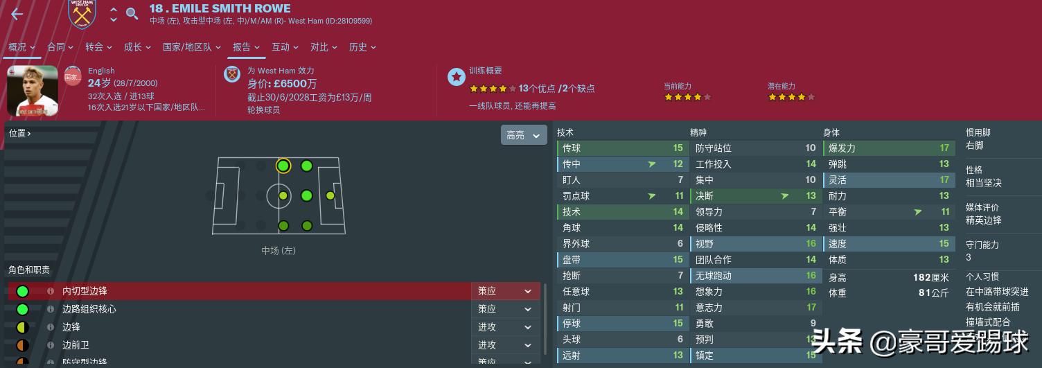 fm足球经理阵型,fm足球经理名单