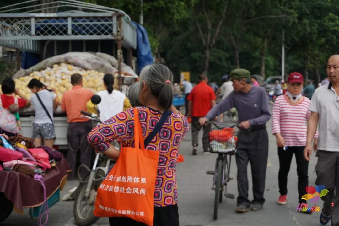 遇见狮岭真实视频,遇见狮子京剧
