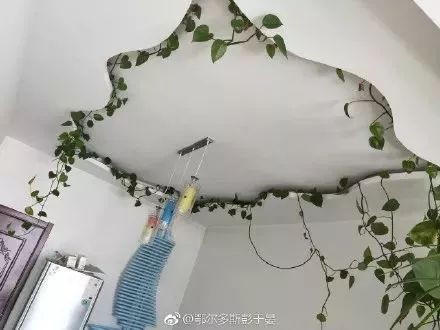 花30万装修新房变公共厕所,装修花了40万感觉被坑了