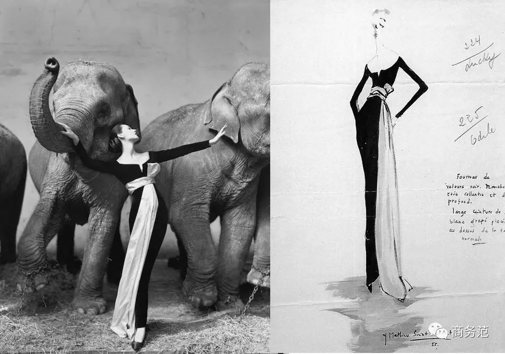 圣罗兰寿命,圣罗兰主要成就