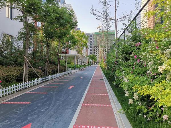 弦歌不辍五十载，上下求索奏华章——郑州市第五十四中学简介