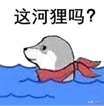 看了刘亦菲版花木兰明白了什么,看了刘亦菲才知道慕容复