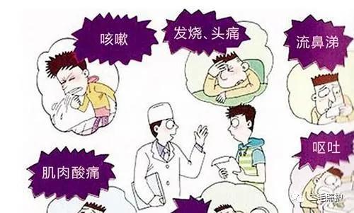 老人出现发热发烧症状，在家中如何进行专业陪护？